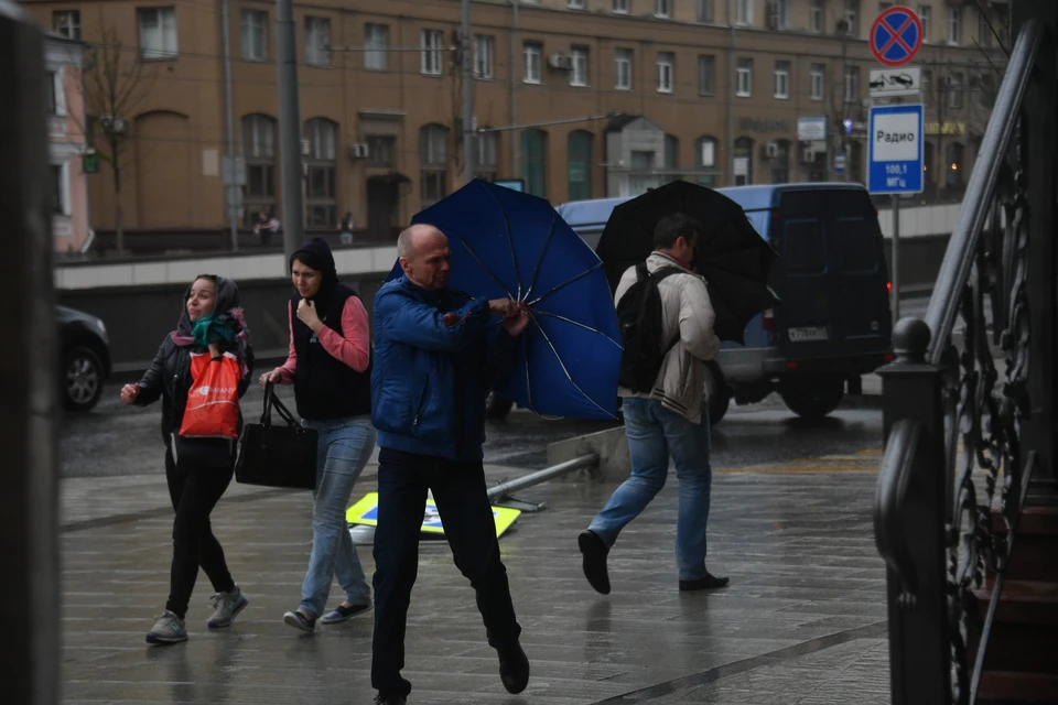 Более 20 деревьев повалило ветром в Нижнем Новгороде 15 марта