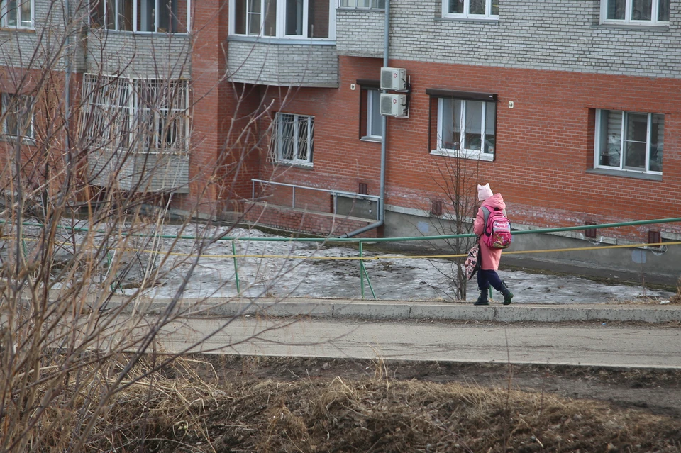 В Ачинске обстреляли девочку