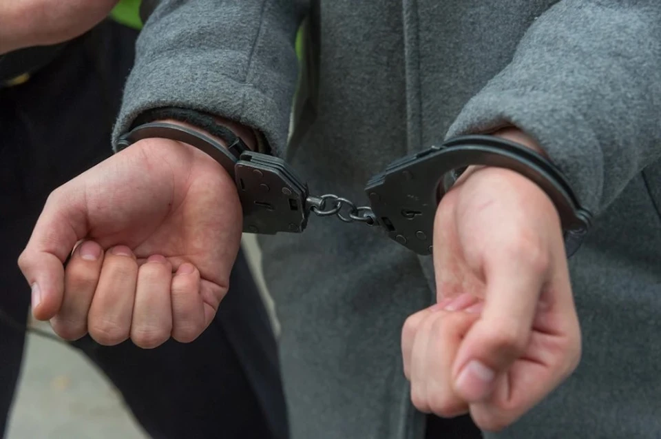 В Москве задержали петербурженку, обманувшую ребёнка на 7,5 миллионов рублей