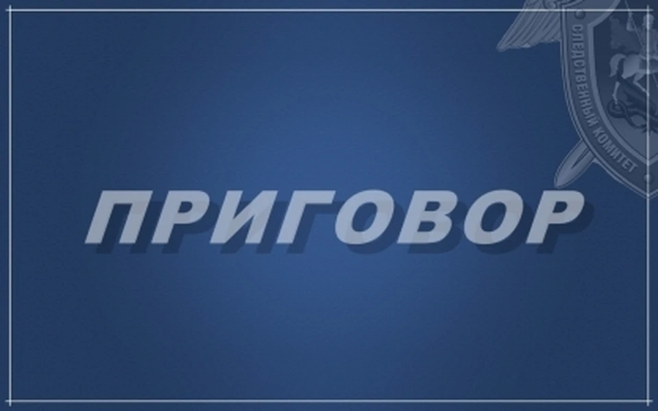 Фото: пресс-служба СУ СК России по Костромской области