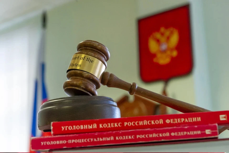В Пушкино экс-сотрудница Росреестра предстанет перед судом