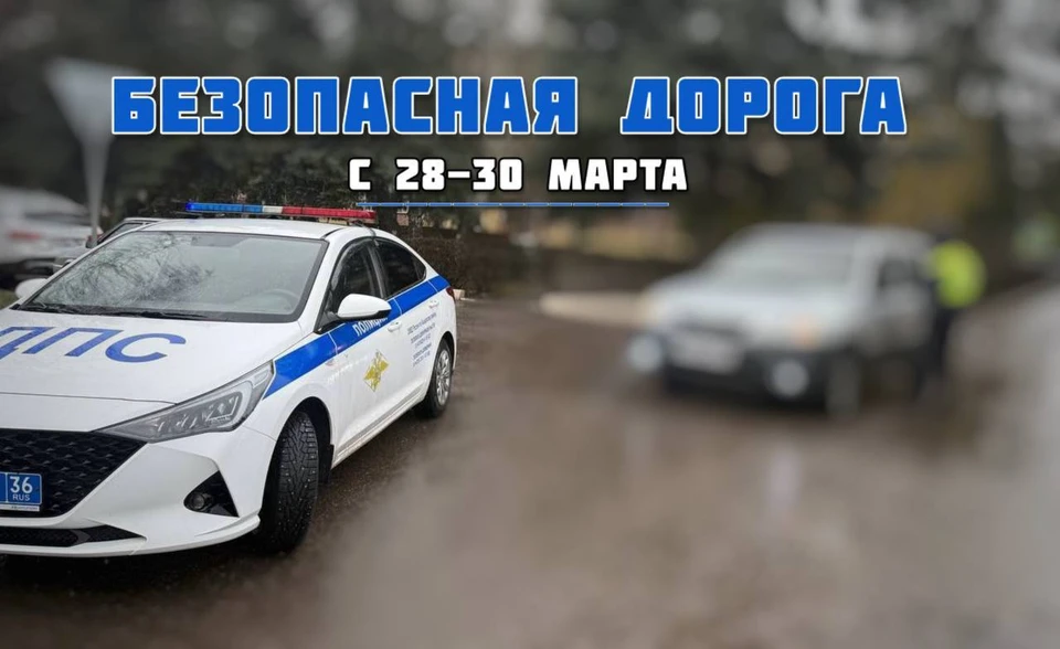 Профилактическое мероприятие «Безопасная дорога» пройдет в Воронежской области с 28 по 30 марта.