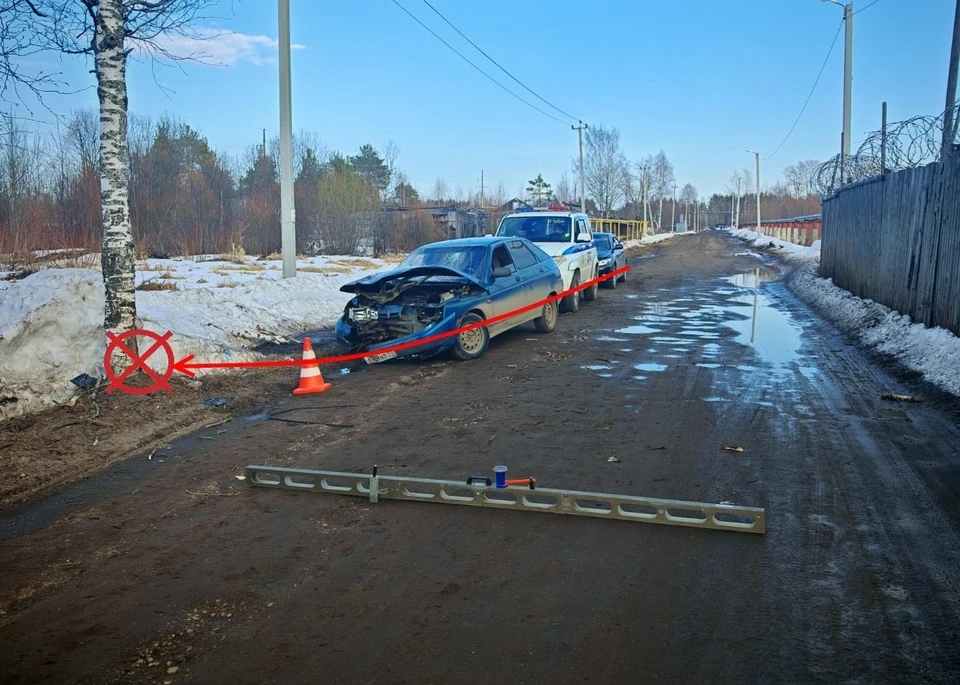 Фото: Госавтоинспекция Коми