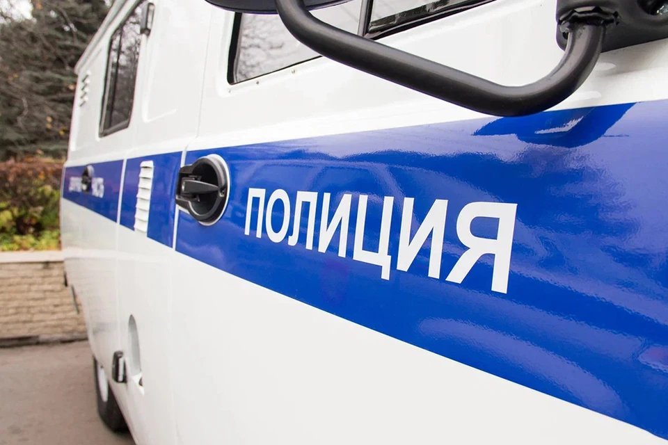Полиция задержала воров