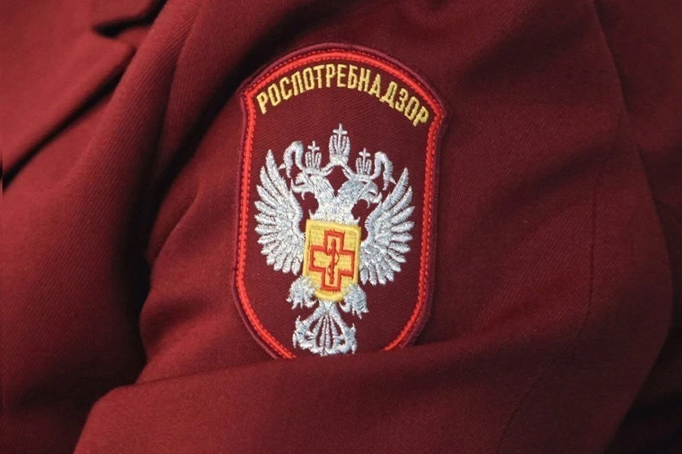 В Туле на улице Кауля приостановили работу палатки с шаурмой за грубые нарушения.