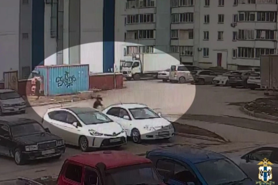 Мужчина хотел продать похищенный автомобиль, но бросил его и сбежал. Фото: стоп-кадр из видео МВД России по Новосибирской области.