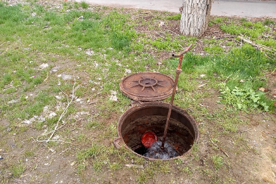 Фото: КВ