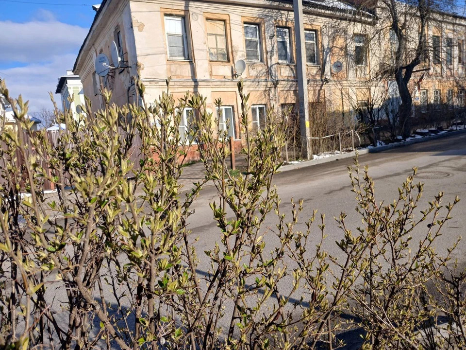 В Калужской области начнется настоящая весна