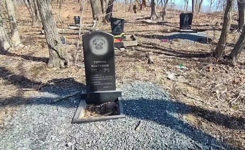 Могилы питомцев с оградками и памятниками располагались между деревьев. Фото: скриншот видео