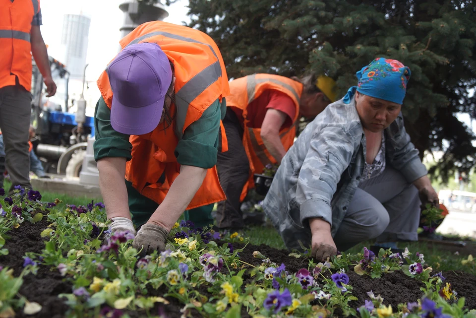 Ульяновские озеленители высадят цветы на площади 10000 квадратных метров