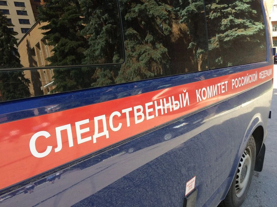 В Новомосковске мужчина убил знакомого, нанеся более 20 ударов ножом.
