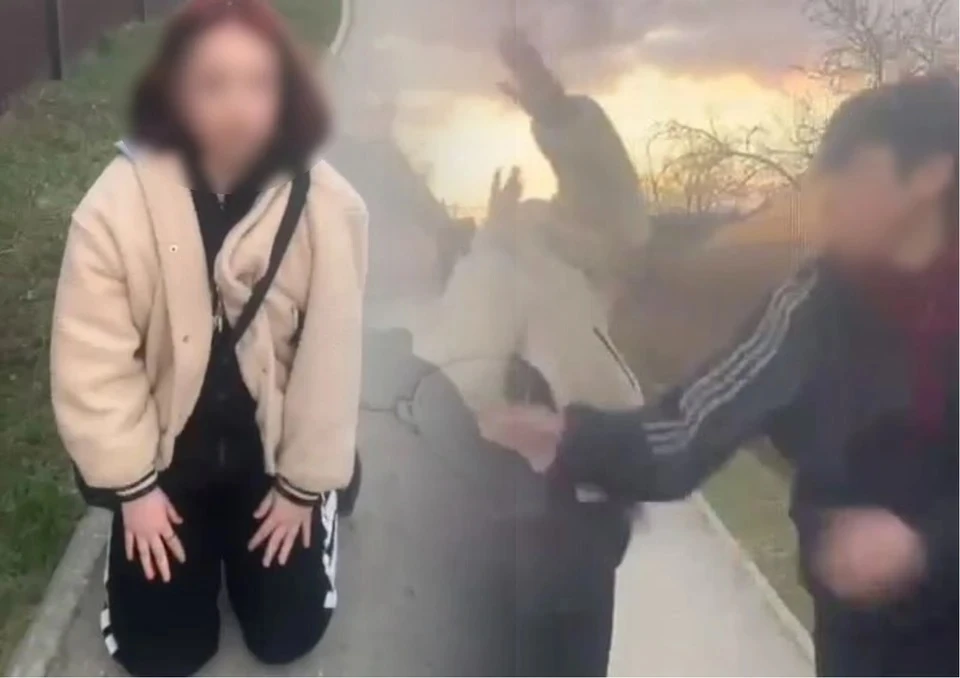 Об избиении девочки группой подростков в Сасове высказала омбудсмен Анжелика Евдокимова
