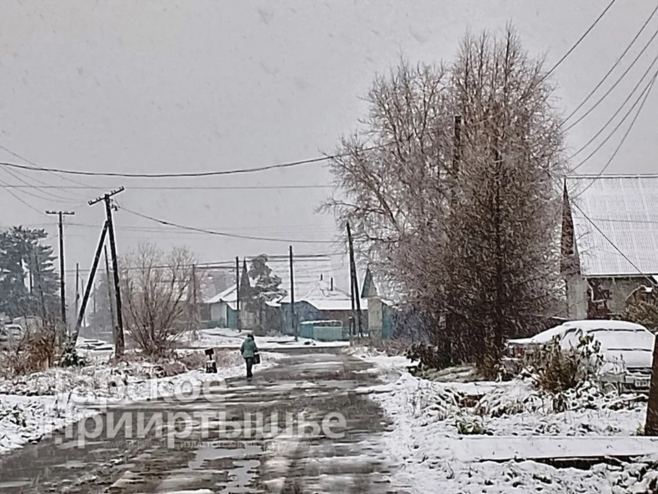 Фото: «Тарское Прииртышье» «Вконтакте»