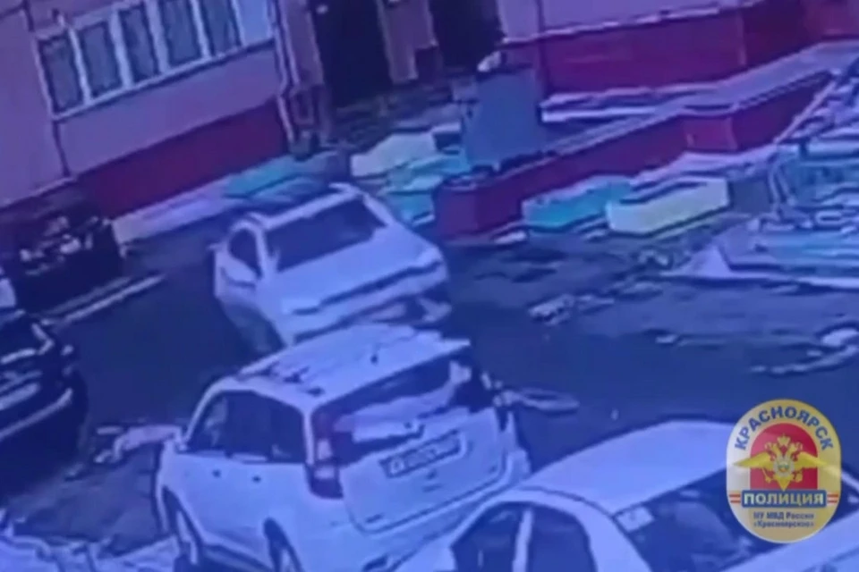 Житель Красноярска спрятал дорогой автомобиль ради страховки. Фото: МВД