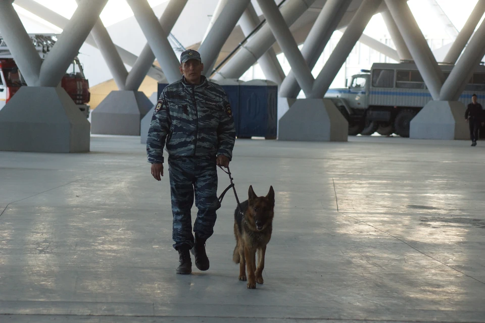 Здания обследуют на наличие взрывоопасных предметов.