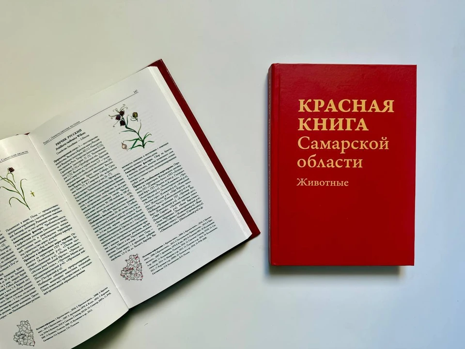 Новое издание Красной книги Самарской области выйдет в 2027-2029 годах