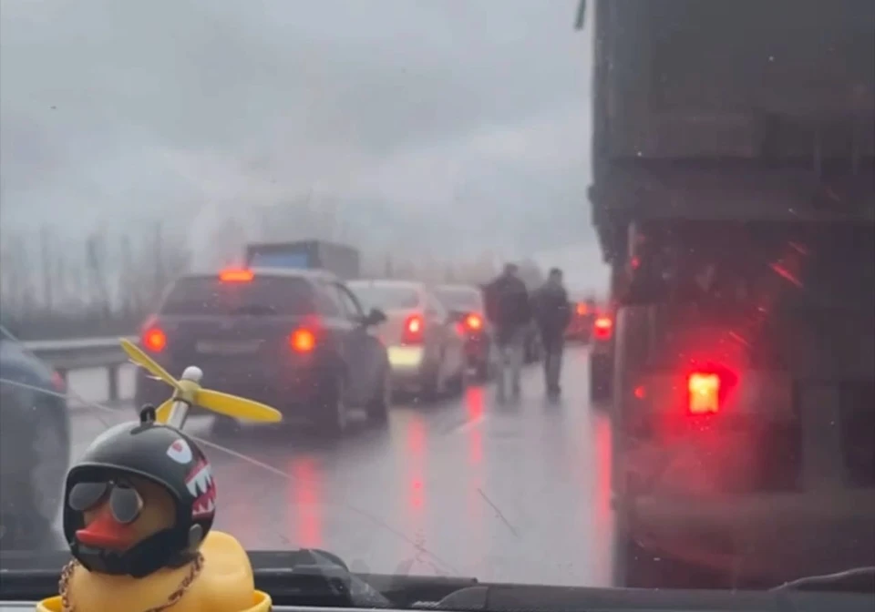 Фото: соцсети.