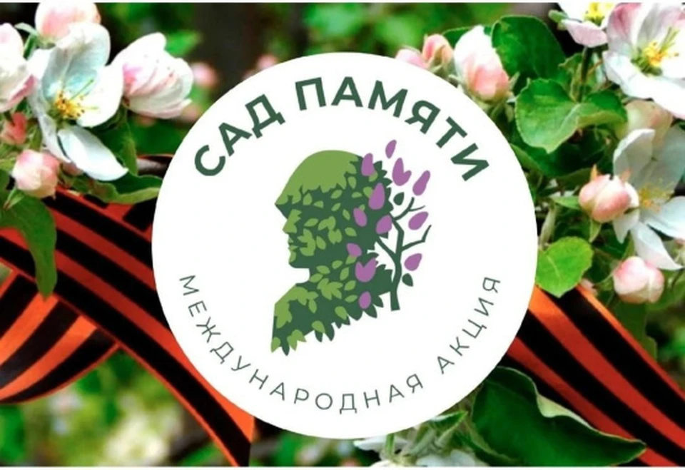 Фото пресс-службы губернатора и правительства региона.