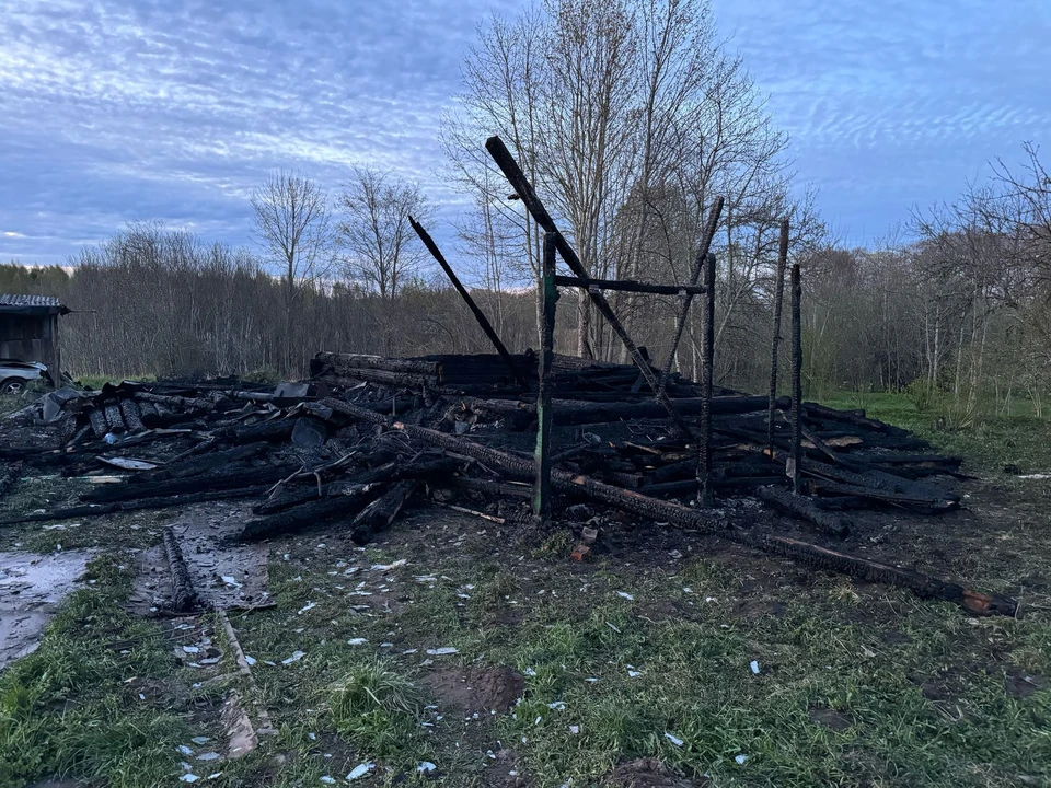 Фото: СУ СК РФ по Псковской области.