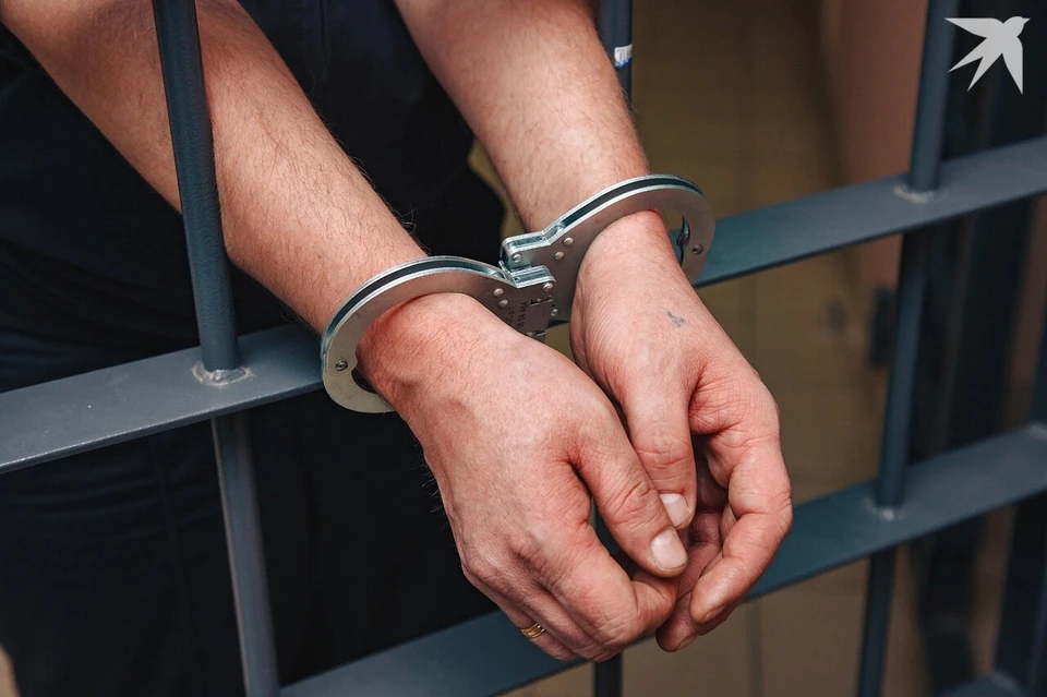 Подозреваемому грозит до 4 лет лишения свободы