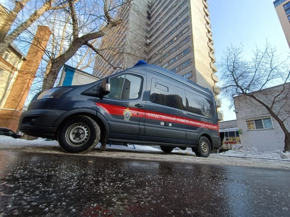 В пресс-службе следственного комитета по Кировской области сообщили, что в связи с происшествием начата проверка.