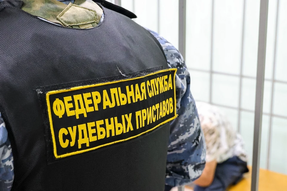 Жительница Красноярска три года не оплачивала долг страховой организации