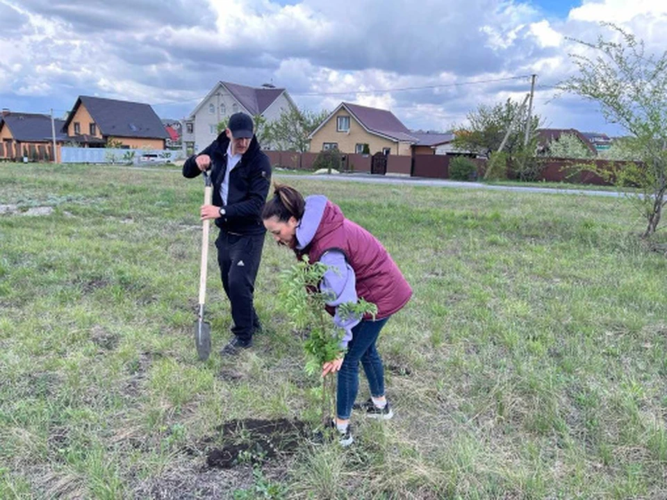Фото пресс-службы губернатора и правительства региона.