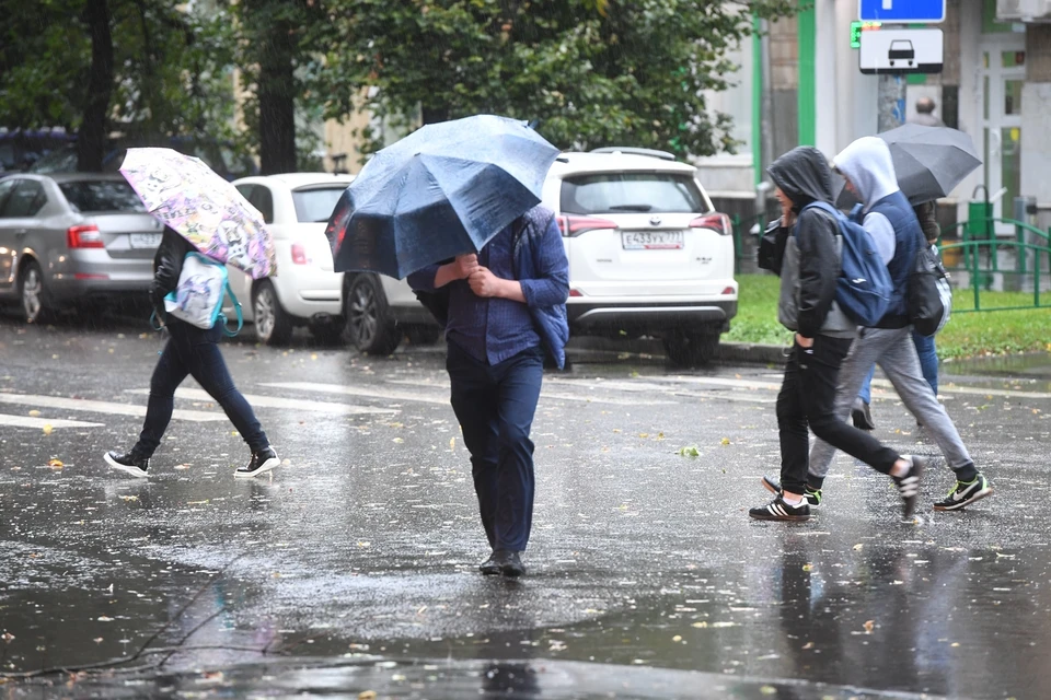 Количество осадков прогнозируется больше нормы.