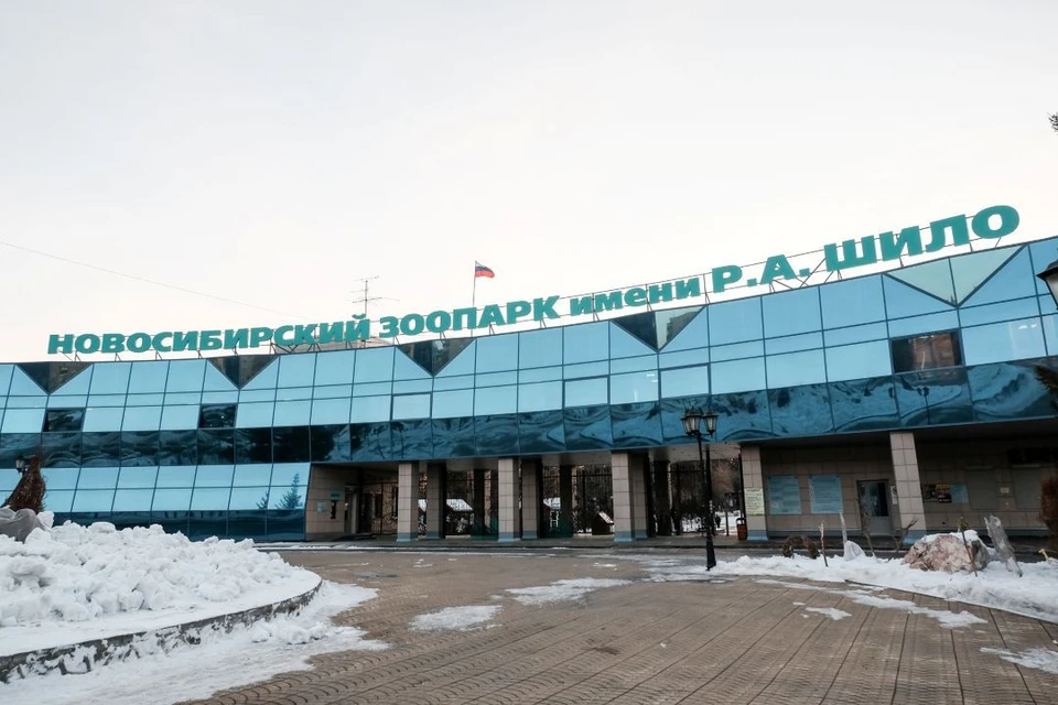 Гостей ждут открытки для ветеранов, мастер-классы и концерт на главной сцене