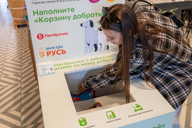«Пятёрочка» в 2 раза увеличила число корзин для сбора корма бездомным животным