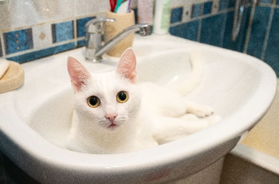 В дома местных жителей стала поступать питьевая вода