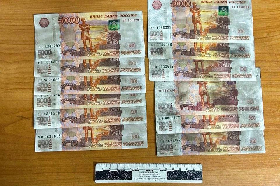 Иностранец пытался дать взятку в 60 тысяч рублей сотруднику полиции. Фото: СУ СК по Мурманской области