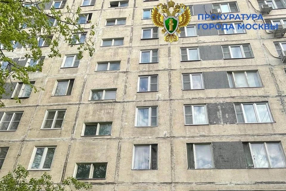 Ребенок оперся на москитную сетку, но она не выдержала его веса
