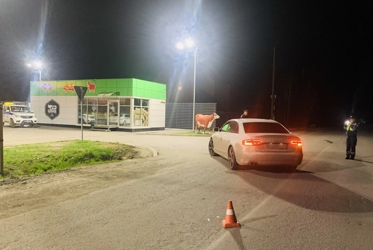 По Екатеринбургу прокатилась волна ДТП с детьми