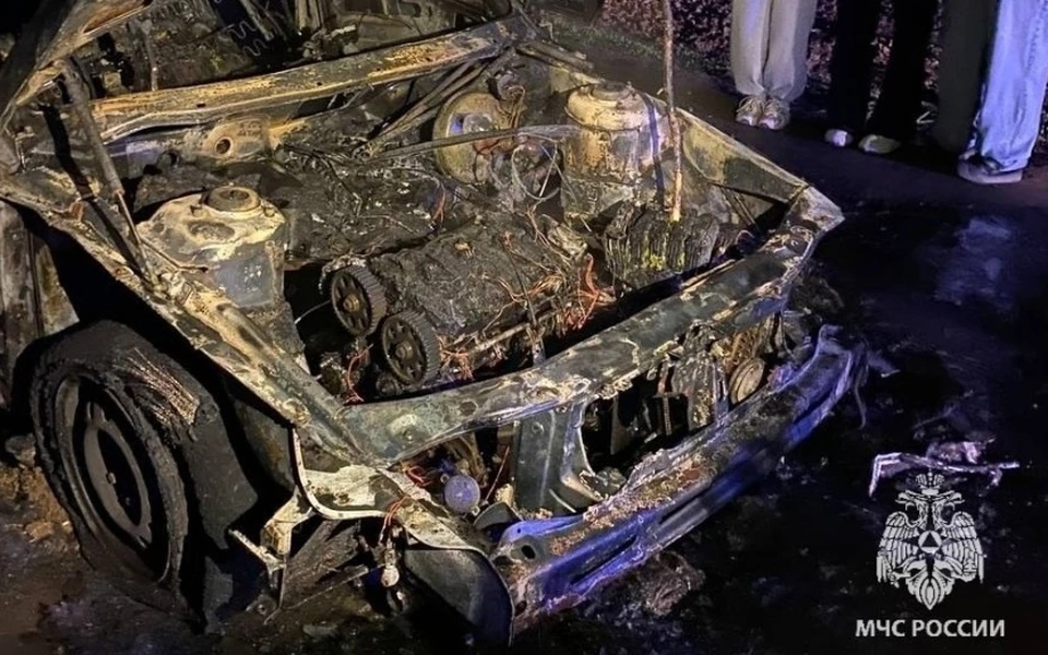 Автомобиль выгорел полностью, помощь прибыть не успела. Фото: пресс-служба МЧС по Удмуртии
