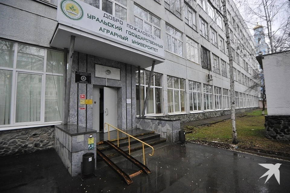 Ученые аграрного университета вывели новый гибрид