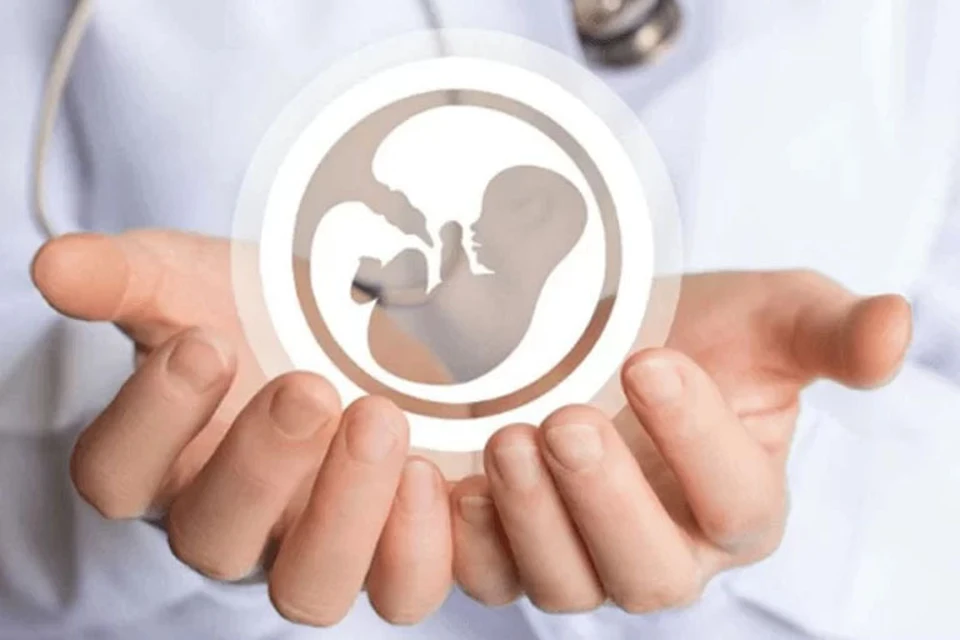 Источник: vivoclinic.ru
