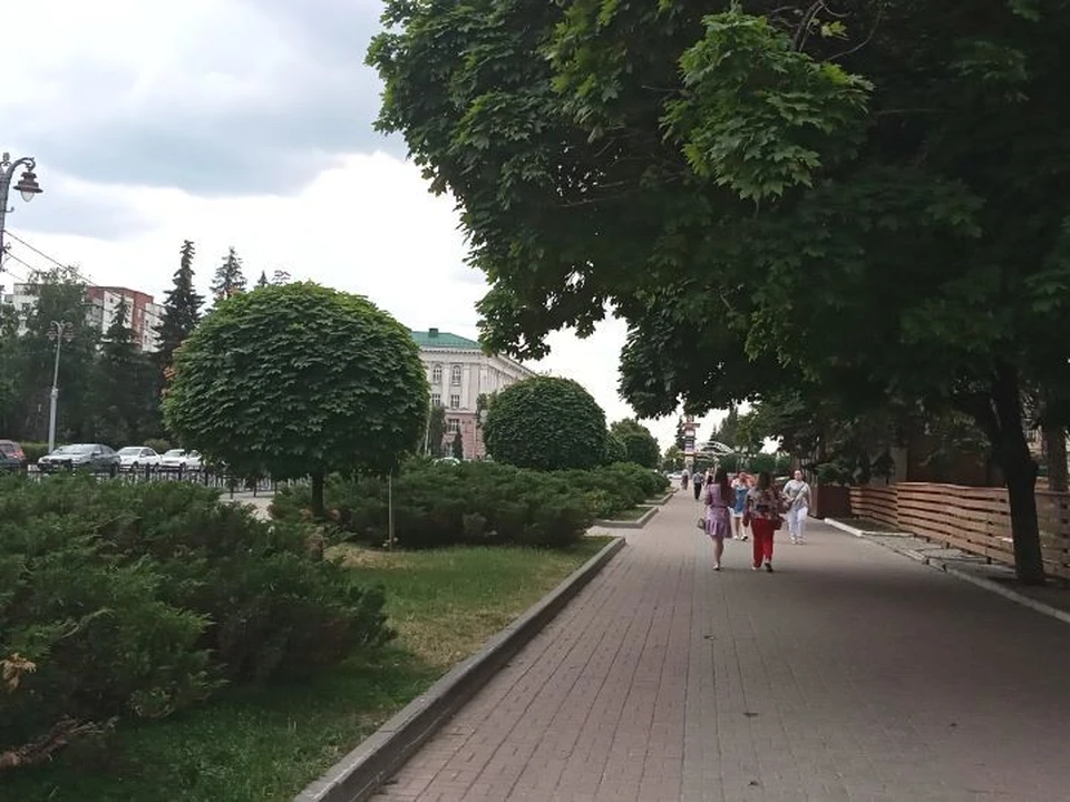 Мэрия отчиталась о благоустройстве города на средства нацпроекта