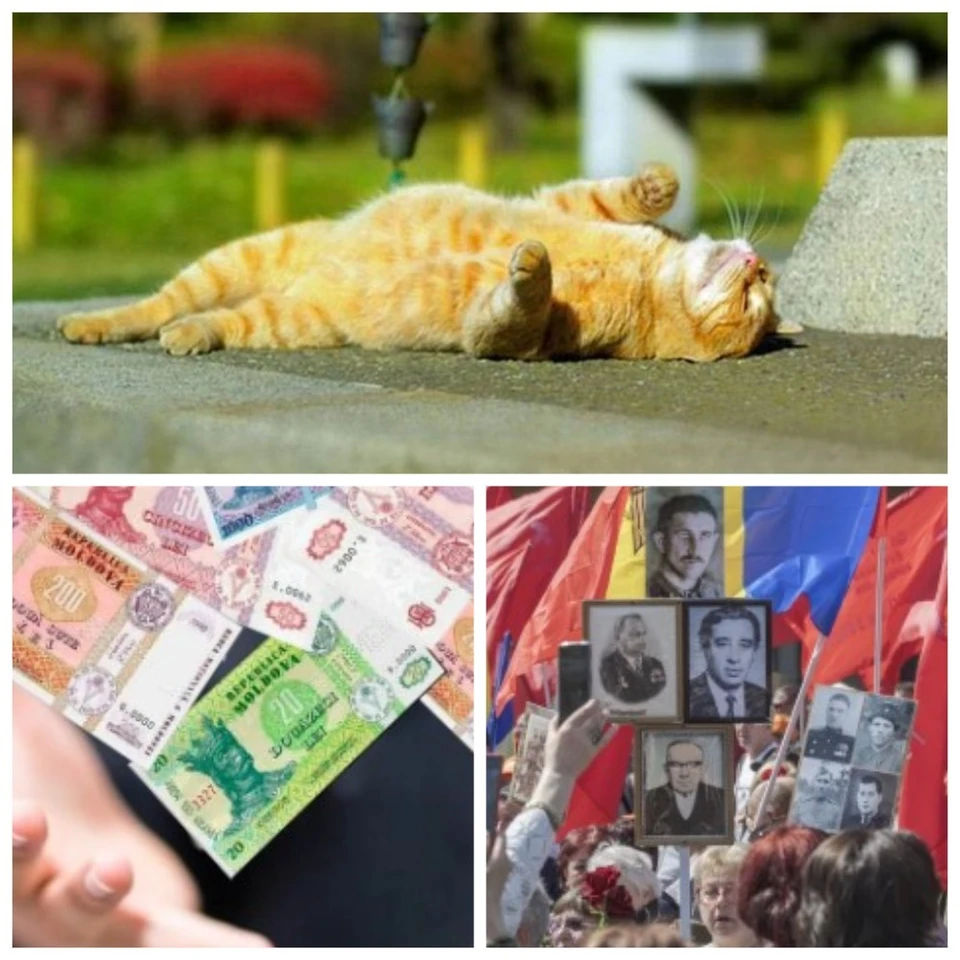 Главные новости в Молдове.