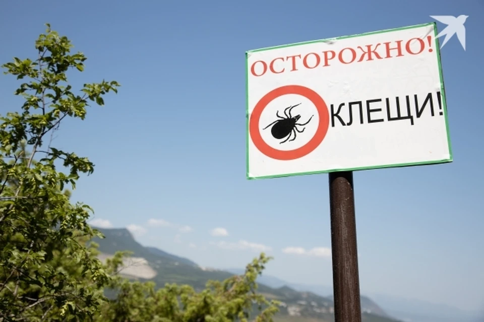 С подозрением на клещевой энцефалит госпитализированы 14 уральцев