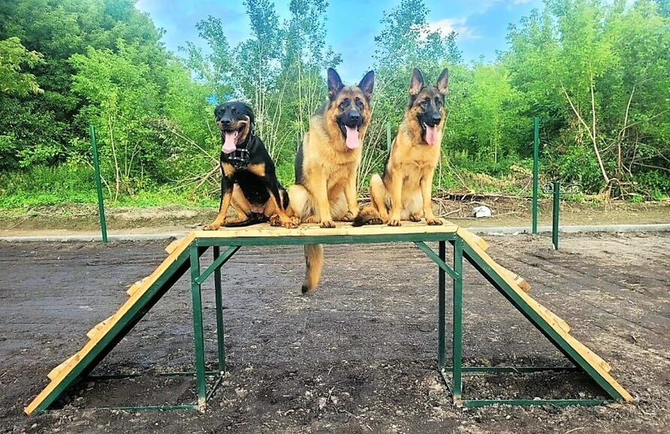 Фото: пресс-служба АПК.