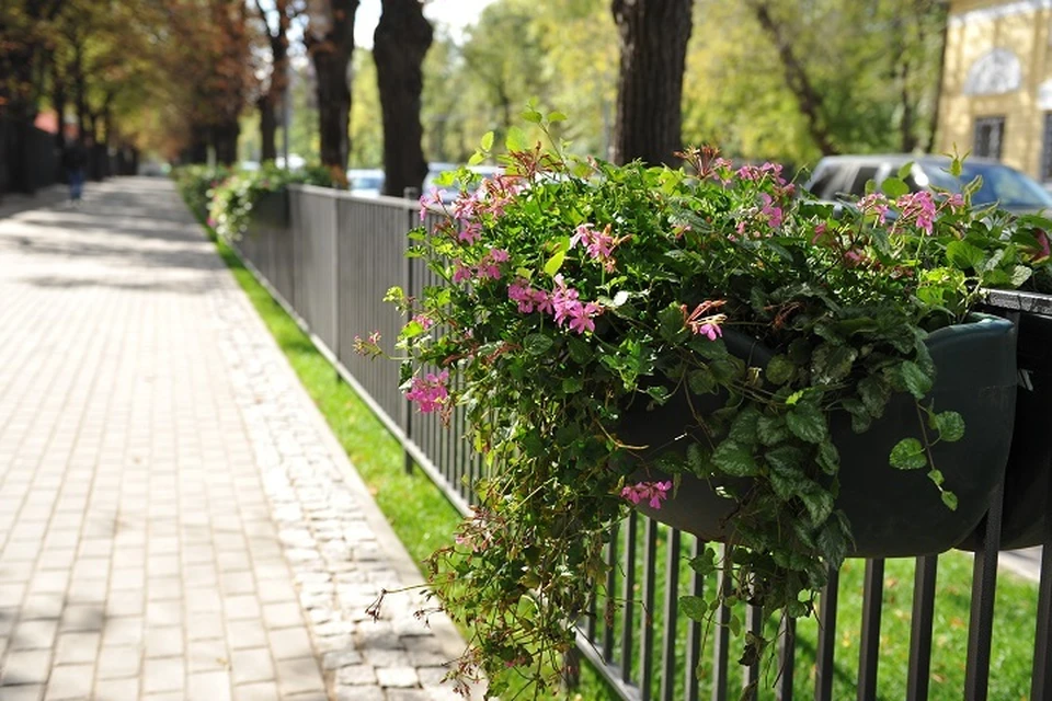 Мэр Хабаровска проверил санитарное состояние главных улиц города