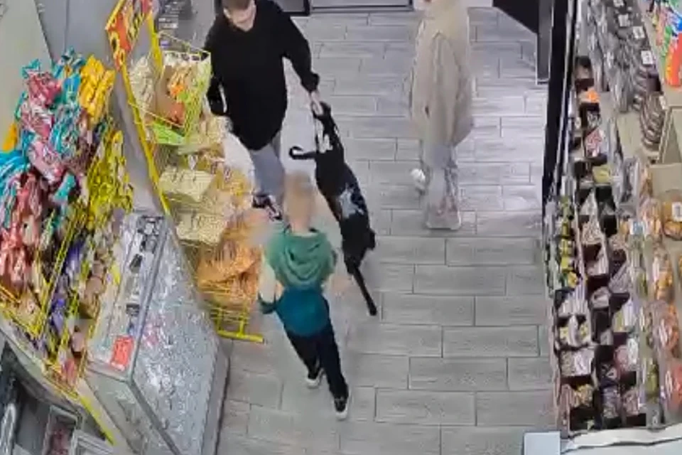 Фото: скриншот видео