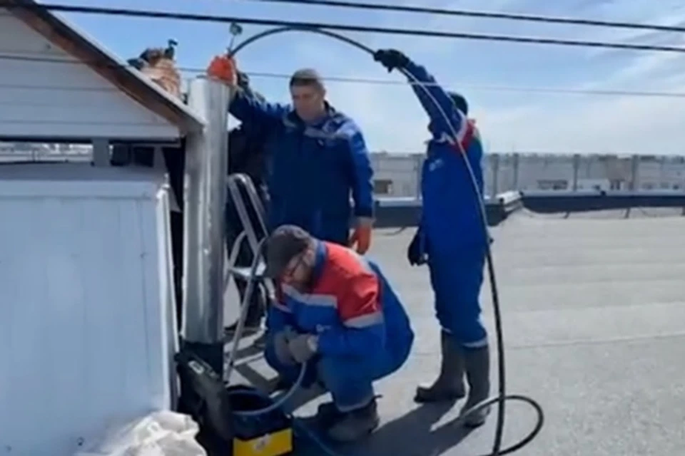 Фото: Скрин с видео