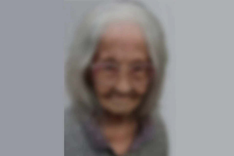 В Новосибирске завершились поиски 86-летней пенсионерки в халате. Фото: ДПСО «ЛизаАлерт» по Новосибирской области
