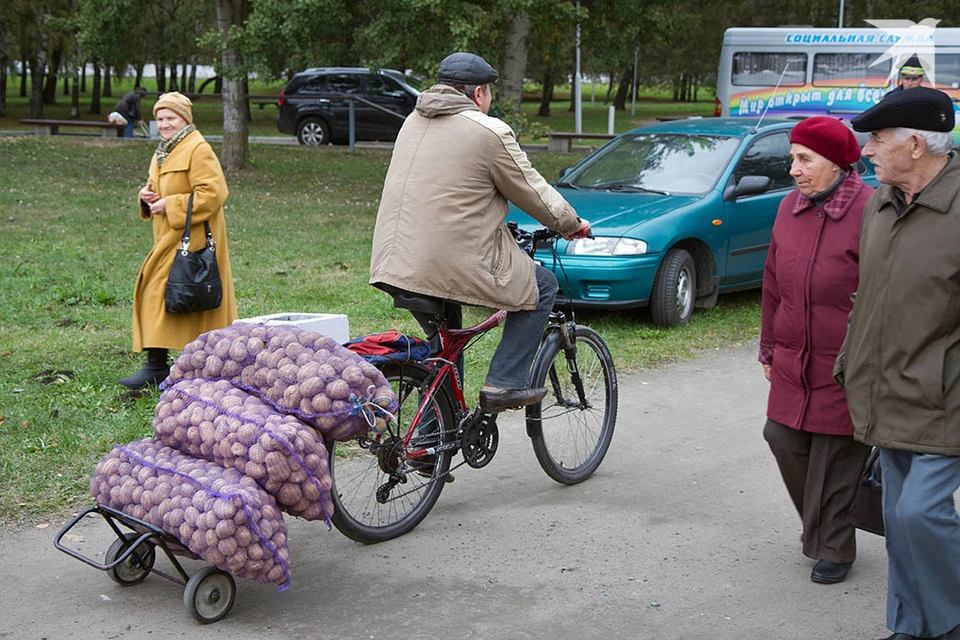 Замглавы МАРТ объяснил цены на мытую картошку в Беларуси. Фото носит иллюстративный характер.