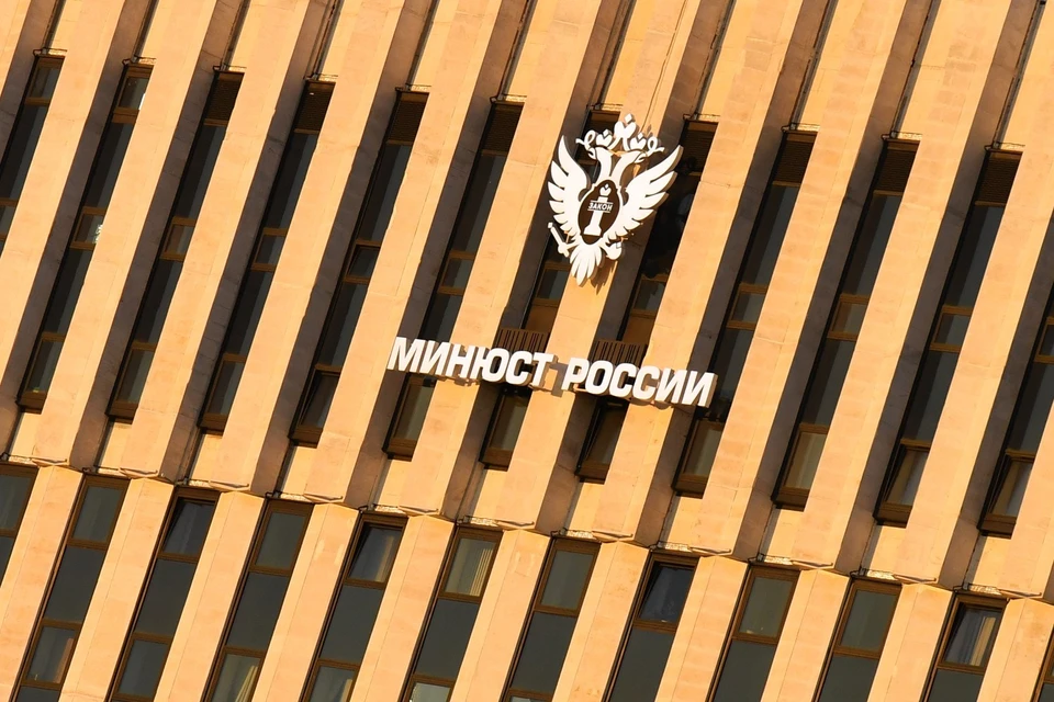 Минюст: реестр злостных неплательщиков алиментов заработает в России в 2025 году