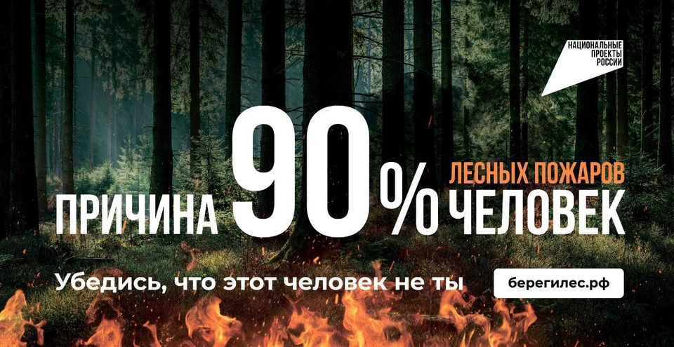 С 2023 года пожары в лесном фонде отсутствуют