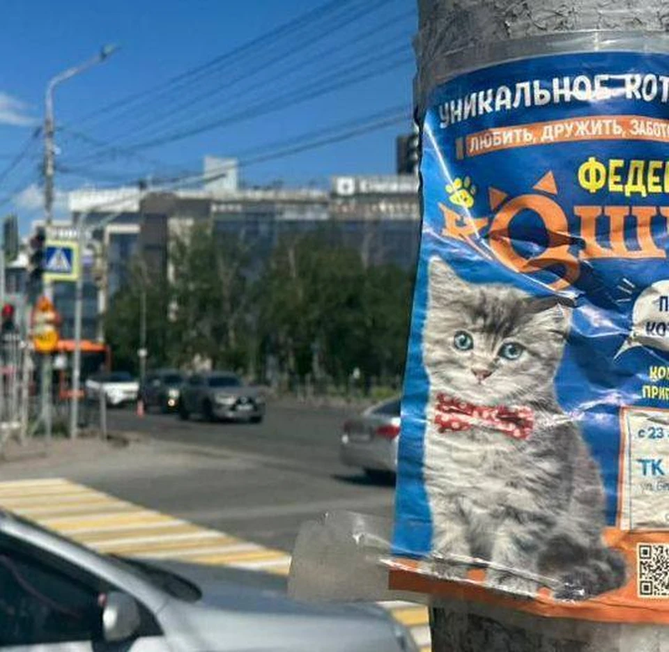 Фото: телеграм-канал Сергея Шелеста