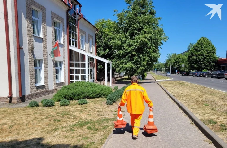 В Беларуси заработал бесплатный номер, где можно получить консультации по трудовым отношениям. Фото: архив, носит иллюстративный характер.